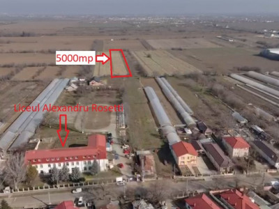 VIDRA LOT 5000 MP 
