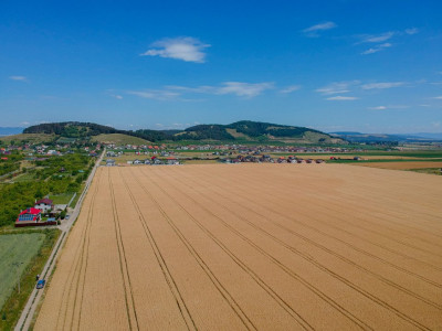 Teren de vanzare, Extravilan Sanpetru, potential dezvoltare -9300 mp