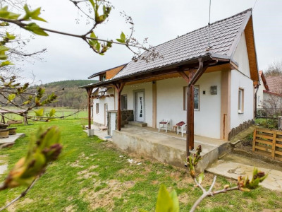 Casa renovata,2.708 mp teren,apa curgatoare,natura spectaculoasa,Moacsa, Covasna