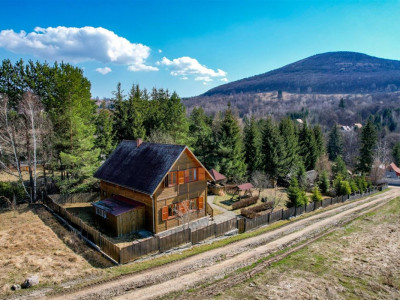 Liniste si relaxare - descopera aceasta rezidenta,  Statiunea Ozunca Bai,  Covasna