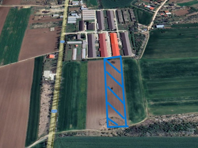 Teren 10.000 mp Silistea Snagovului. Deschidere 40 metri.  