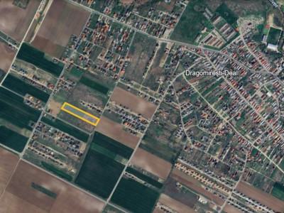 Vanzare | Teren Intravilan 6500 mp | Str. Macului |