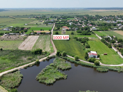 Lot 1000 mp Dascalu, Creata