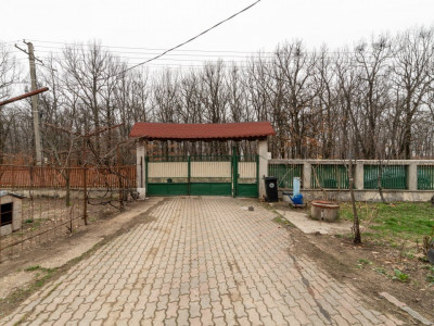 Casa cu lac priveliste superba spre padure 0% Comision