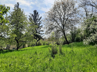 Teren intravilan in Provita de Sus-constructie intabulata-ideal pentru renovare.