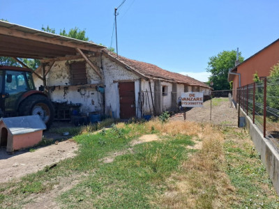 Grajd pentru animale in Nadlac