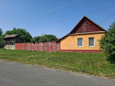 Casa 3 camere in Nadlac 