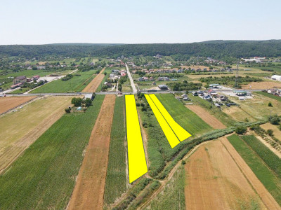 Teren cu potențial de dezvoltare –7427 mp în Argeșelu, Mărăcineni, județul Arges