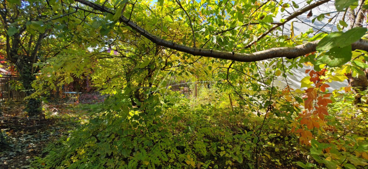 Vila Gabriela Otopeni