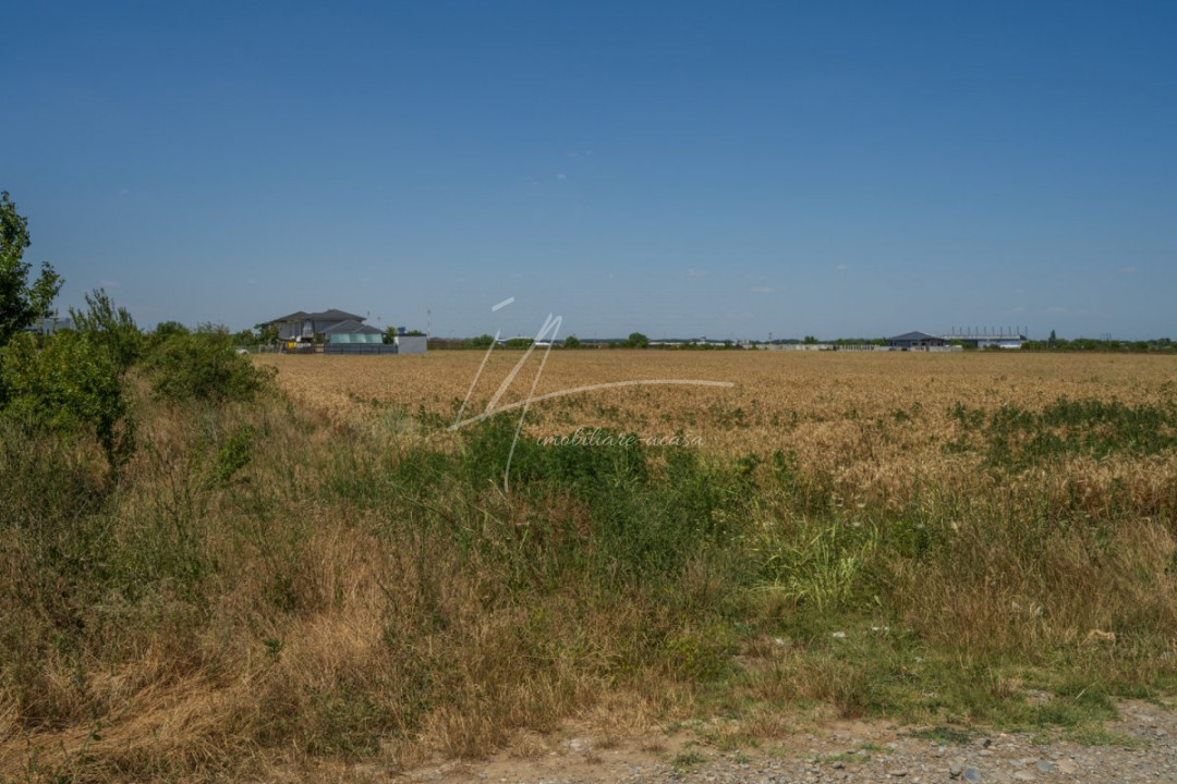 OTOPENI - CARPATILOR, TEREN 1371 MP!