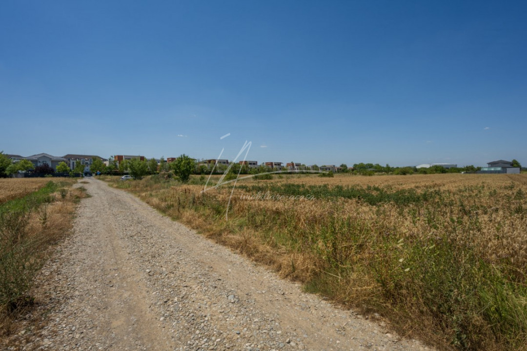 OTOPENI - CARPATILOR, TEREN 1371 MP!