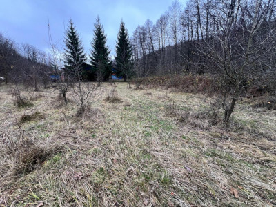 Teren intravilan 6.500 m²–Deschidere 144 ml drum european E81, km 35, Morăresti