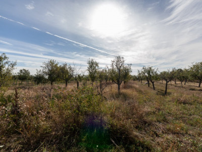 Teren 2.847 mp in comuna Cuca, AG
