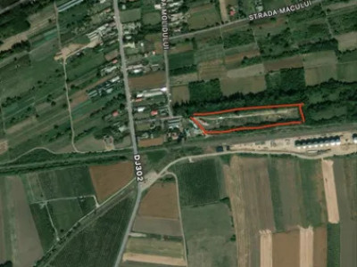 Teren langa padure,aproape de Bucuresti 10 275 mp de liniste.
