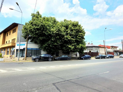 Pieptanari 100. Casele din umbra teilor. Rezidential sau comercial?