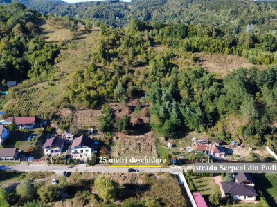 Teren langa padure | domeniu rezidential | actele la zi - de vanzare