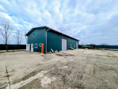 Hala de 250 mp cu Casa in Hodis