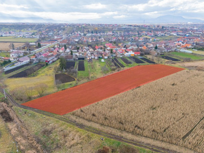 Teren extravilan Bod, 10.000 mp, acces DE 290, zona spre Hărman