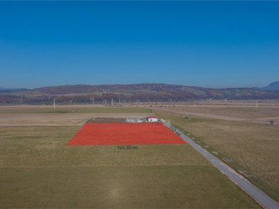 Teren 11.600 mp – Râșnov, zona Tabăra, 230 m de DN 73