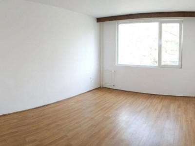 Apartament 2 Camere Decomandat Parc Moghioros