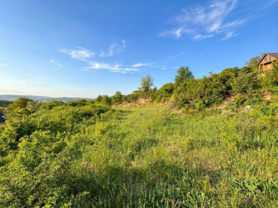 Teren intravilan 959mp | Front 40m | Viorelelor Dezmir