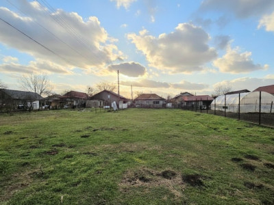 Teren intravilan 1467 MP in Lumina - Ideal pentru constructii duplex