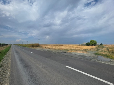 Teren intravilan 7ha, deschidere 234m la drum județean, Mihail Kogălniceanu