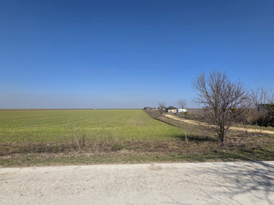 Teren intravilan 500 mp in Corbu, ideal pentru investitie