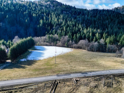 Teren extravilan 19.200 mp – DN1A Săcele, Brădet | Front stradal 130 ml