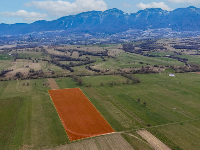 Oportunitate de investitie în Zarnesti I Teren intravilan 8557 mp