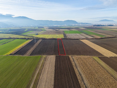 Teren extravilan în Sacele-3500mp