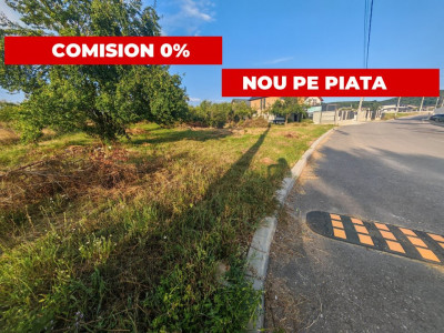 Teren intravilan 1.600 mp | Mioveni – Zona Pruni - Posibilitate extindere