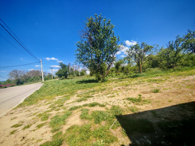 Teren central intravilan în Mioveni 