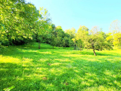TEREN IN SUPRFATA DE 2870 MP IN PROVITA DE SUS VALEA BRADULUI JUD PRAHOVA
