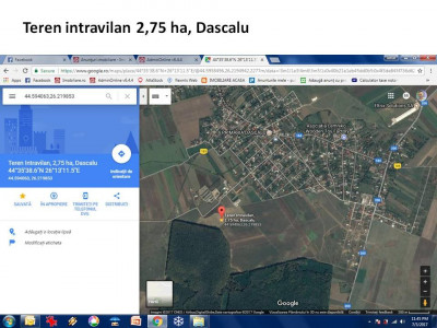Vanzare 88.400 mp teren intravilan Dascalu - Ilfov