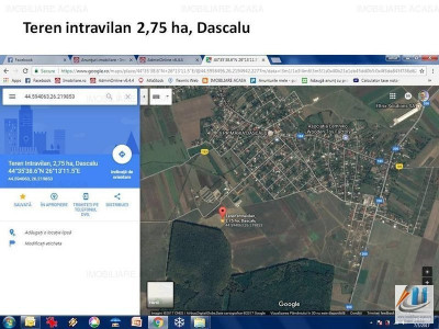 Vanzare teren intravilan langa padure Dascalu - Ilfov